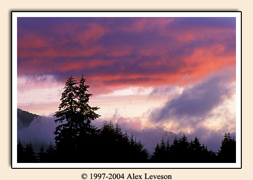 misty sunset