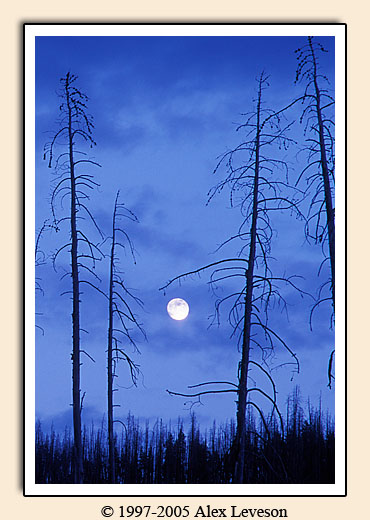 moon and clouds