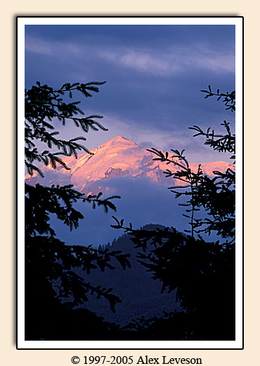 mount rainier alpenglow
