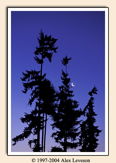 Crescent moon