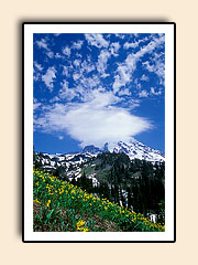 mountain
