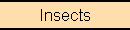 insects
