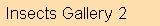 insect gallery 2